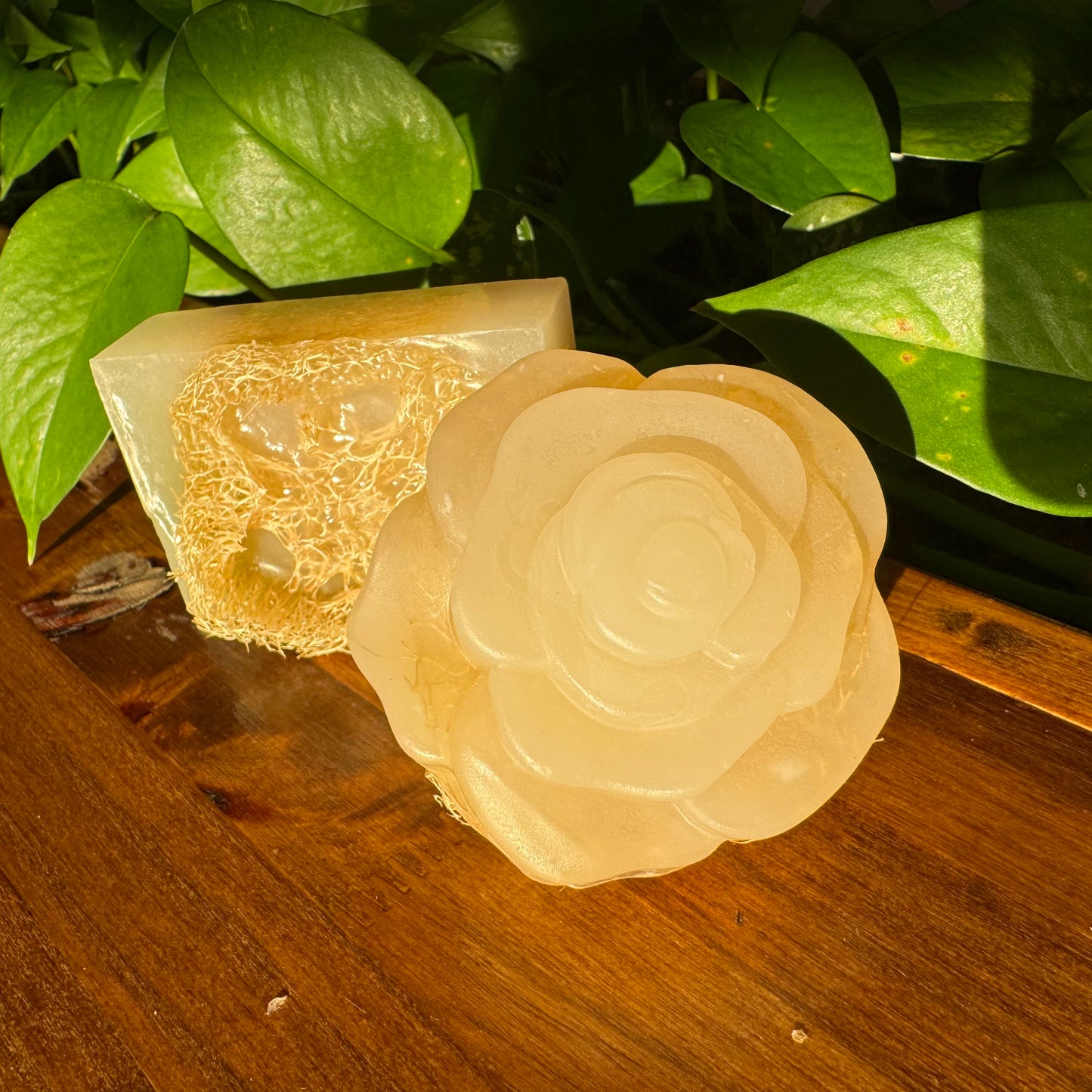 Coniferous Forest (Bar Soap)